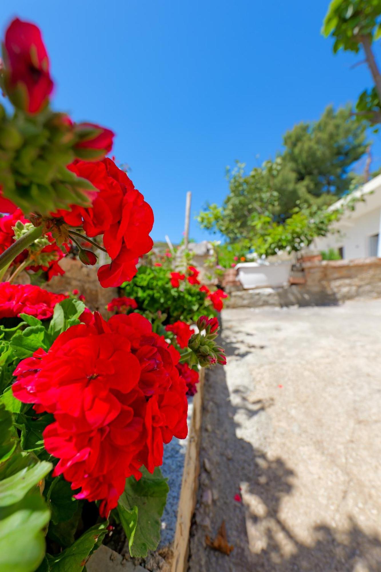 Flower Vila Sarandë Eksteriør billede