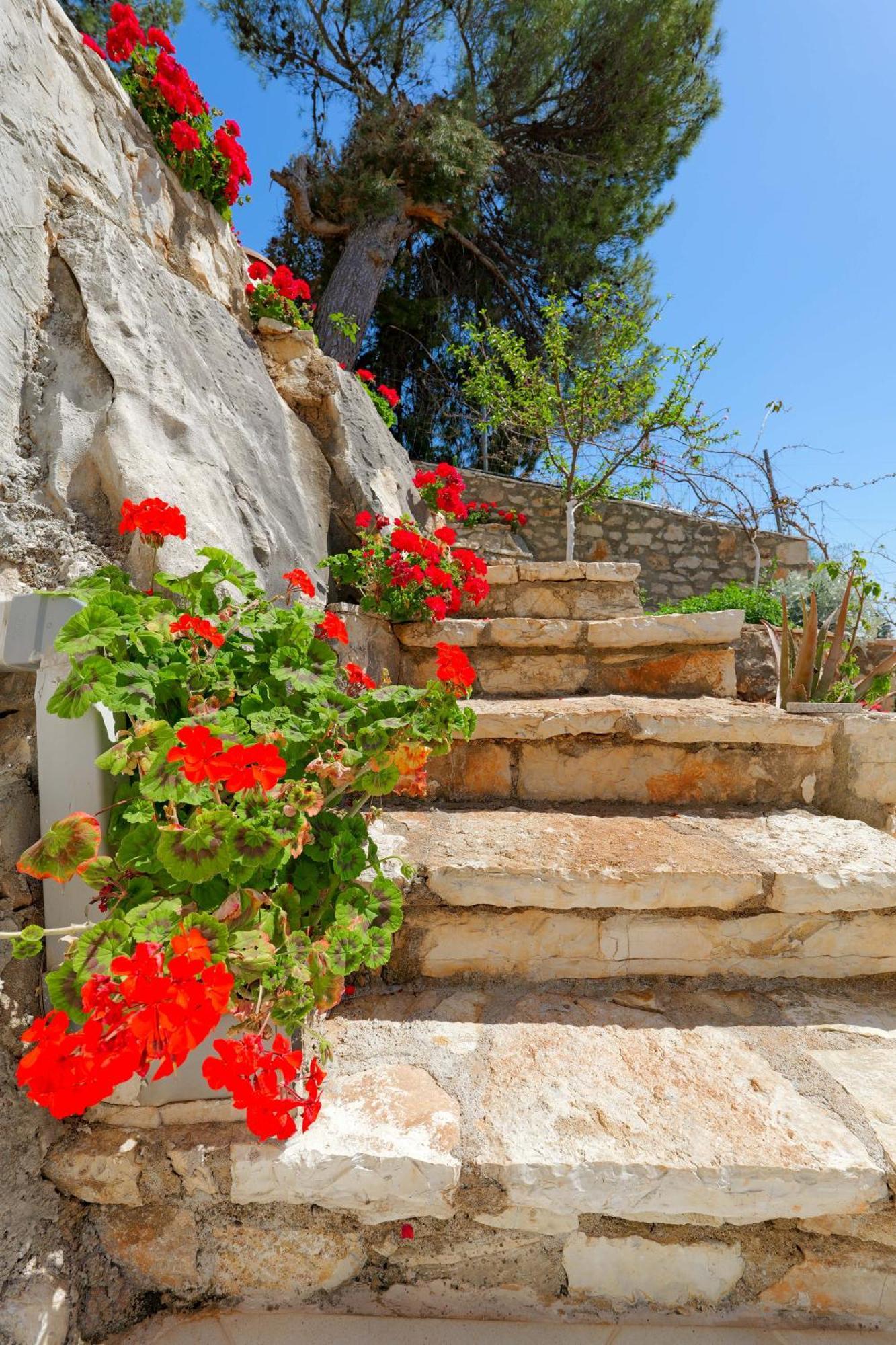 Flower Vila Sarandë Eksteriør billede